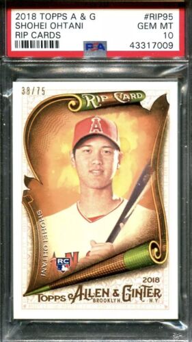 Shohei Ohtani