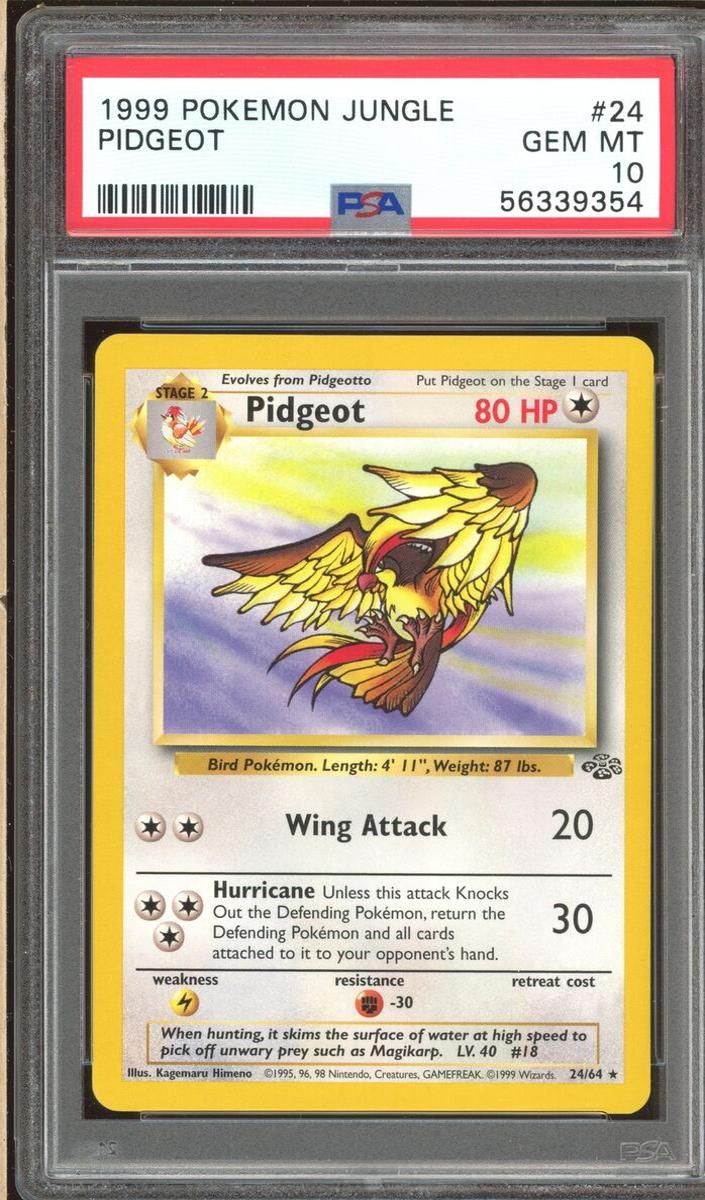 Pidgeot 1999 Pokemon Jungle