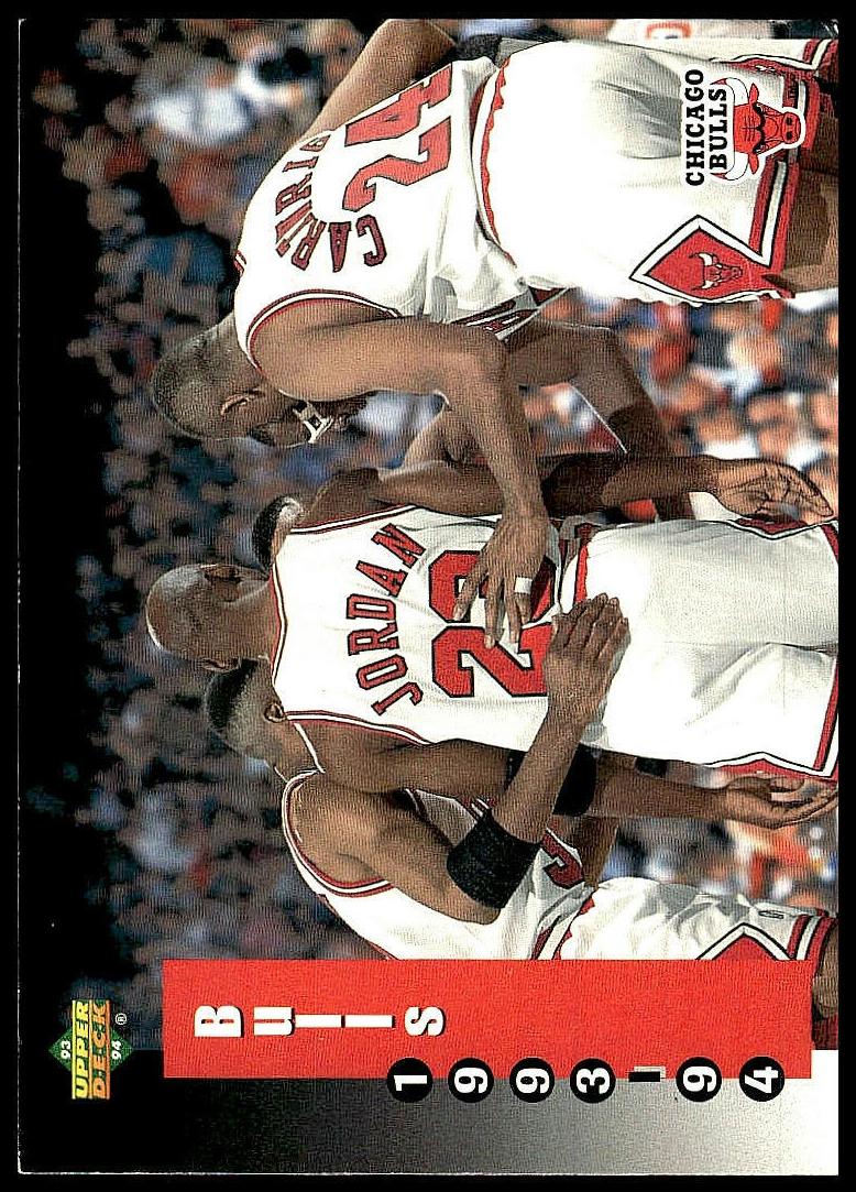 1993 Michael Jordan #213