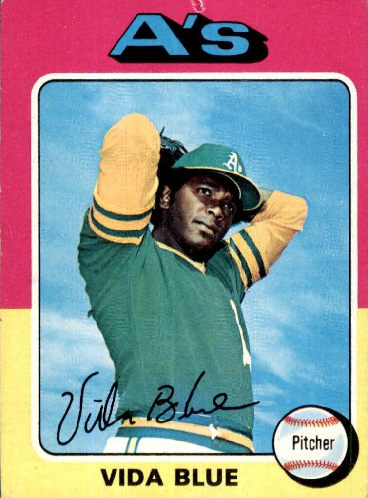 1975 Vida Blue #510