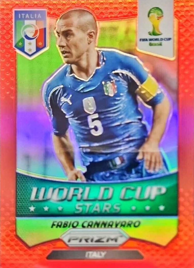 2014 Fabio Cannavaro #S-FC