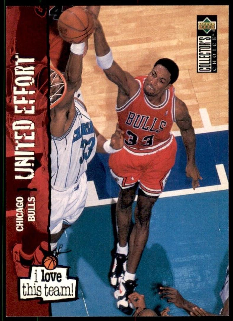 1995 Scottie Pippen #369