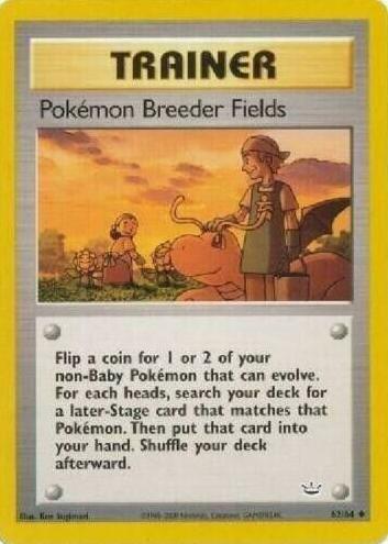 Pokemon Breeder Fields 2001 Pokemon Neo Revelation