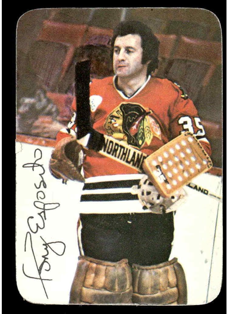 1976 Topps Glossy Inserts Tony Esposito #3 card