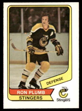 1976 Ron Plumb #94