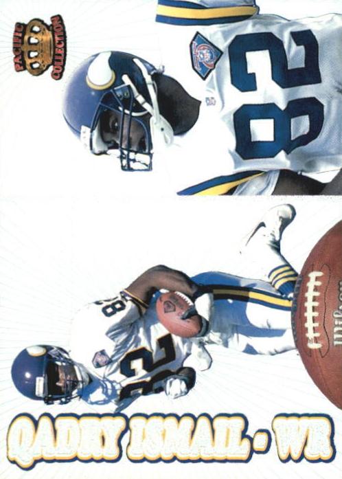 1995 Qadry Ismail #163