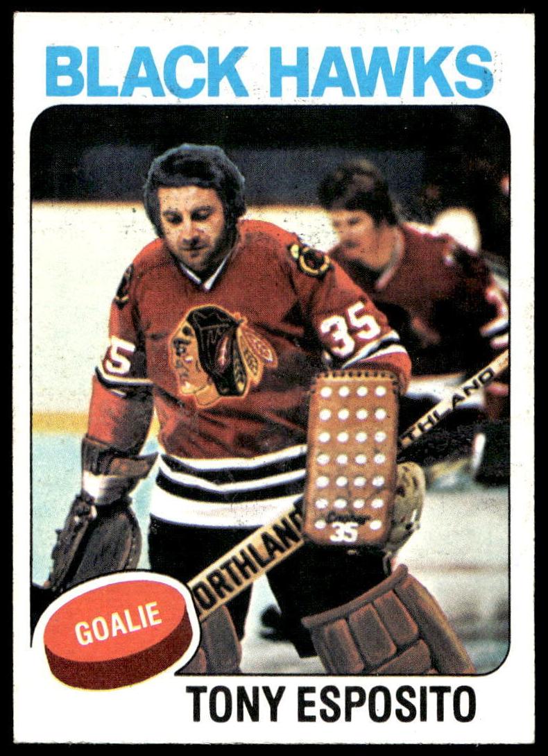 1975 Tony Esposito #240