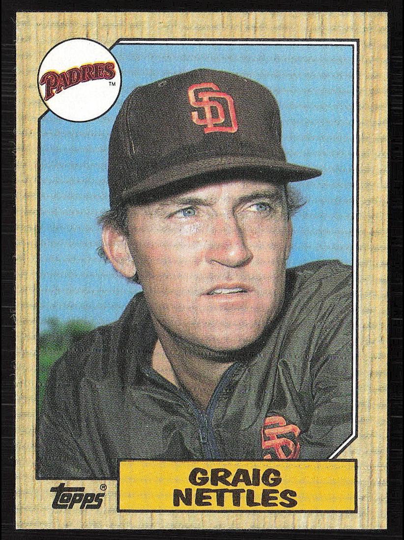 1987 Topps Graig Nettles #205 card