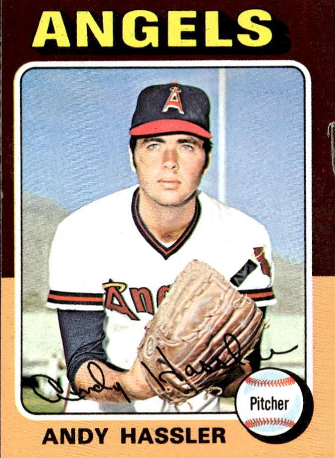1975 Andy Hassler #261
