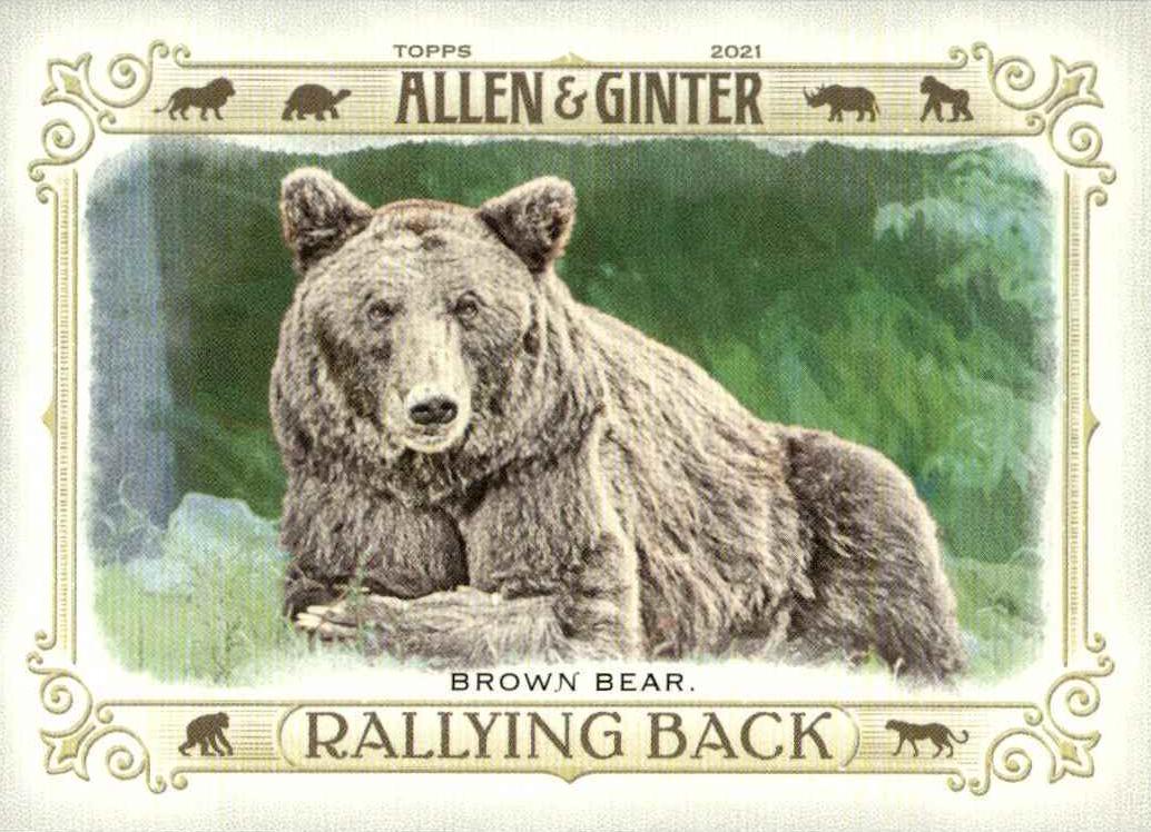 2021 Brown Bear #RB-9