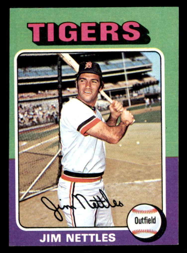 1975 Jim Nettles #497