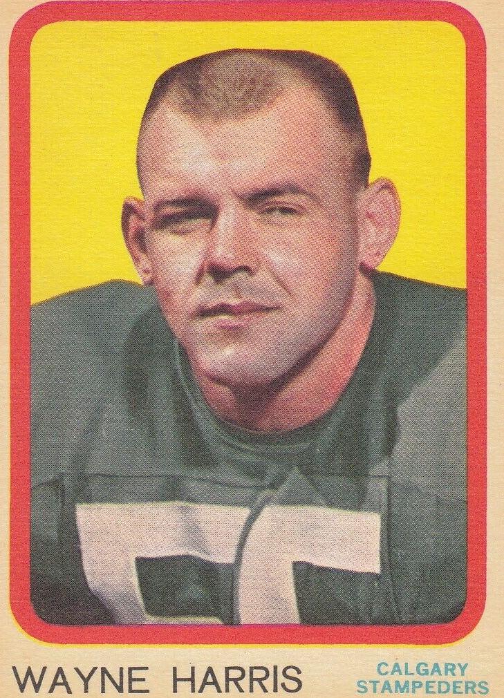 1963 Wayne Harris #19
