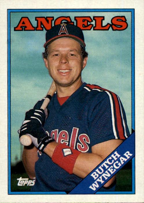 1988 Topps Butch Wynegar #737 card
