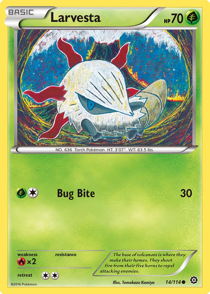 Nuzleaf 2016 Pokemon XY Steam Siege