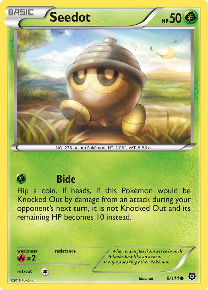 Seedot 2016 Pokemon XY Steam Siege