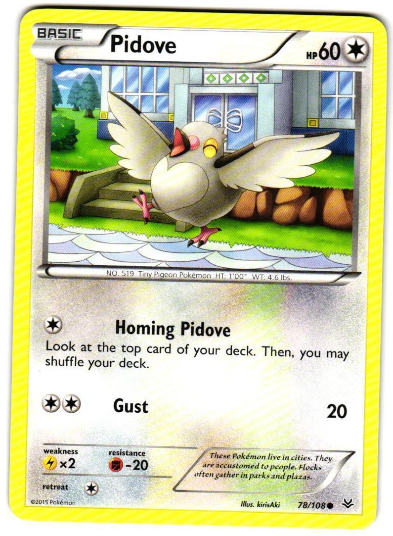 Pidove 2015 Pokemon XY Roaring Skies