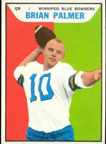 1965 Brian Palmer #123