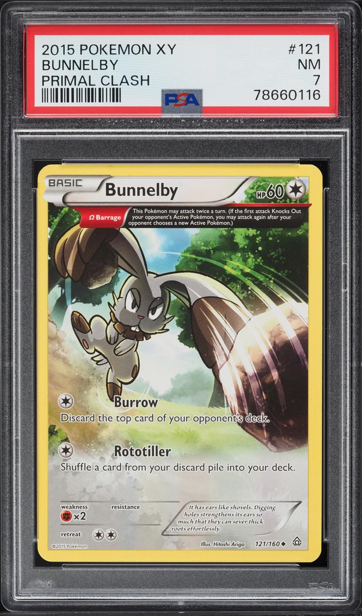 Bunnelby 2015 Pokemon XY Primal Clash