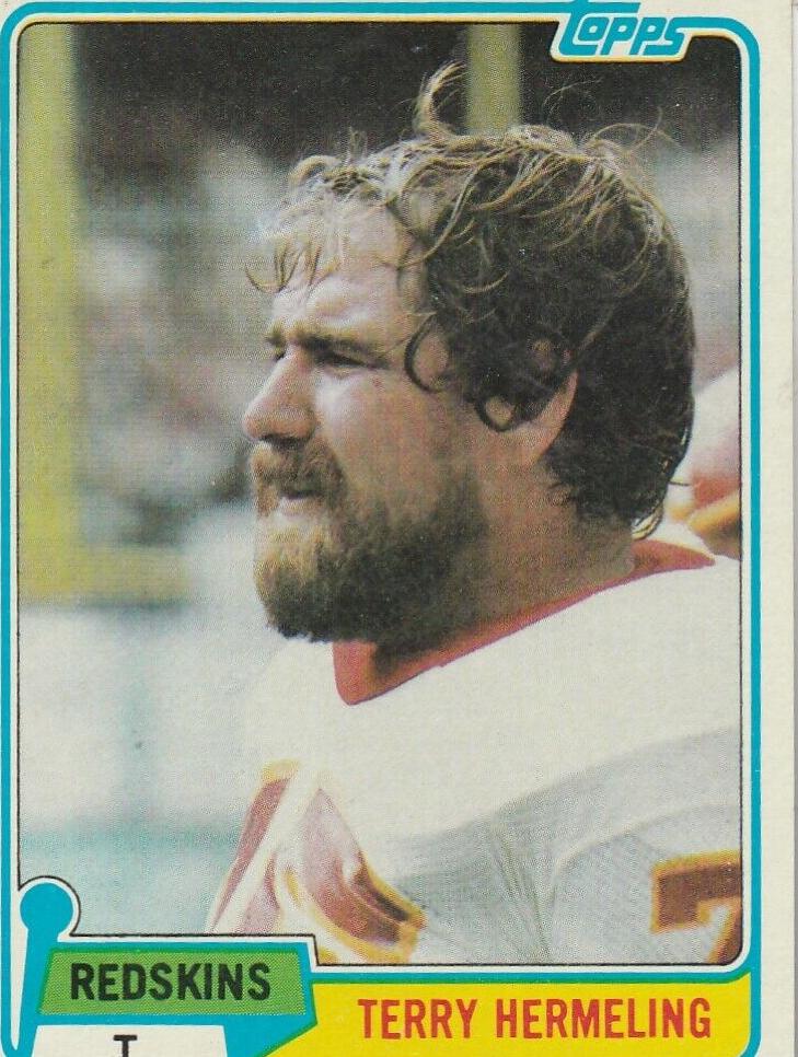 1981 Terry Hermeling #299