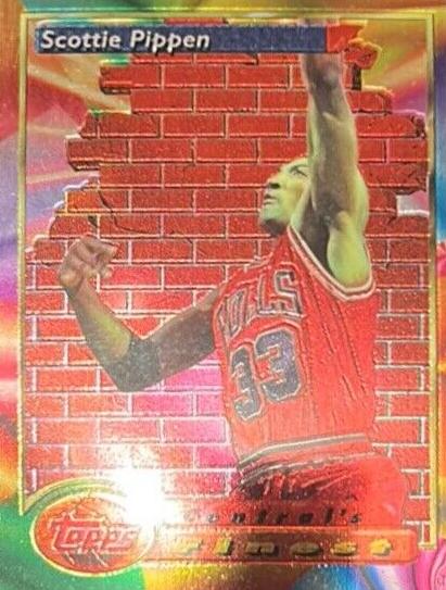 1993 Scottie Pippen #105