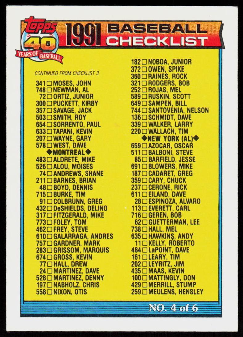 1991 Checklist #527