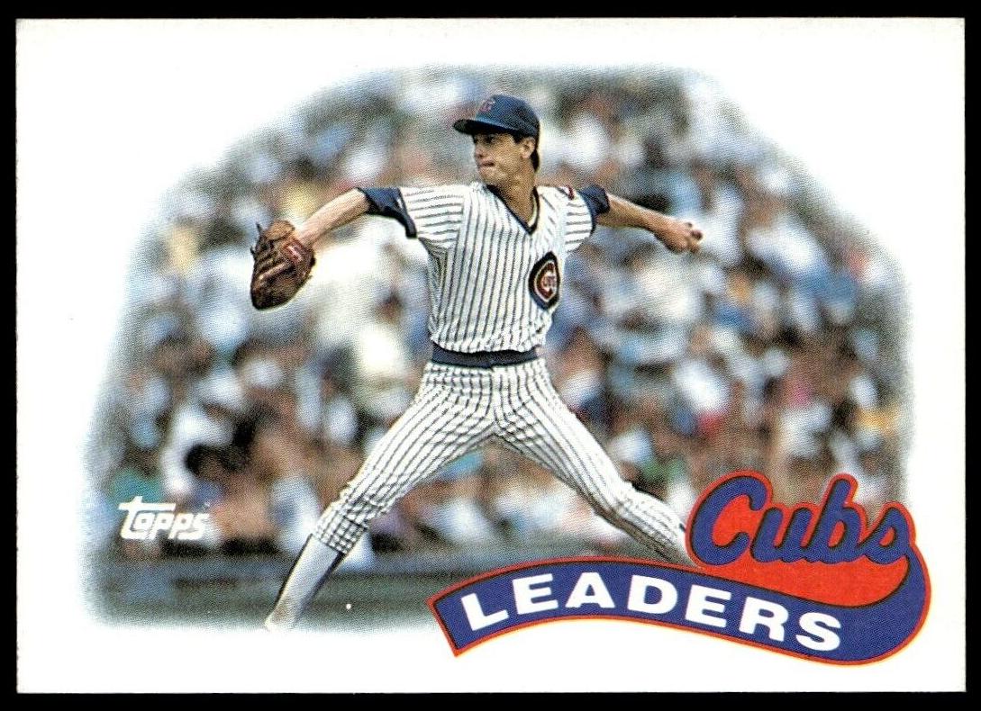1989 Cubs Leaders #549