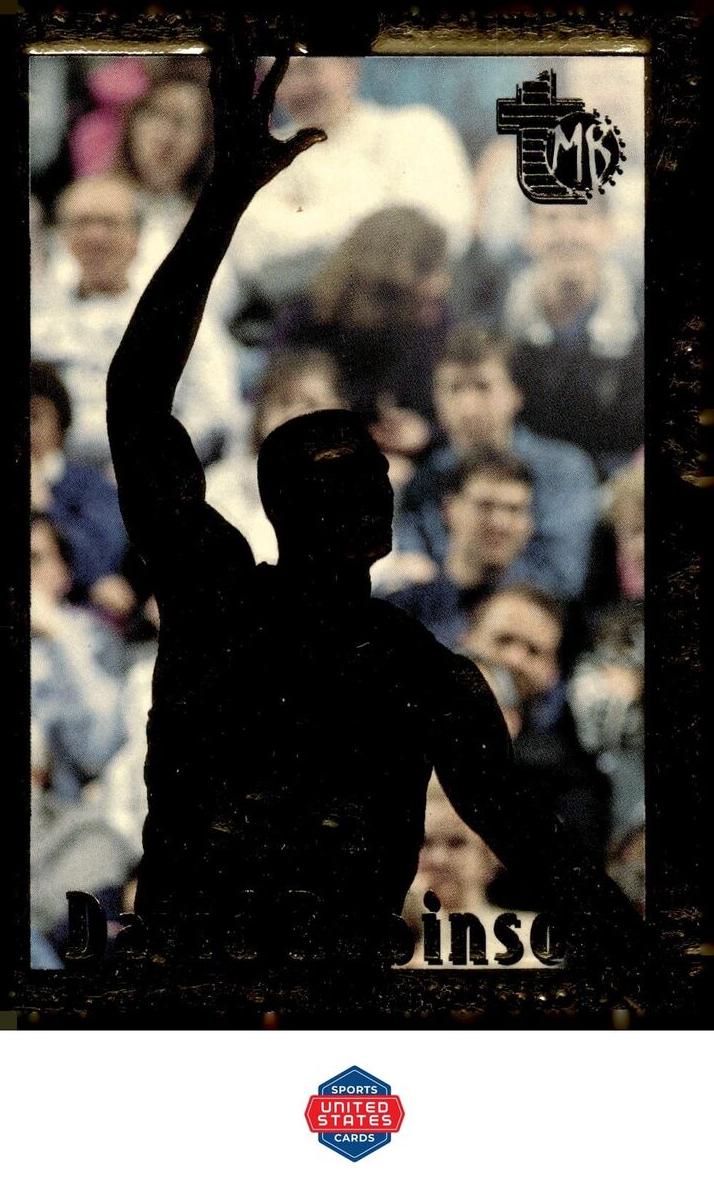 1994 David Robinson [Golden Idols] #88