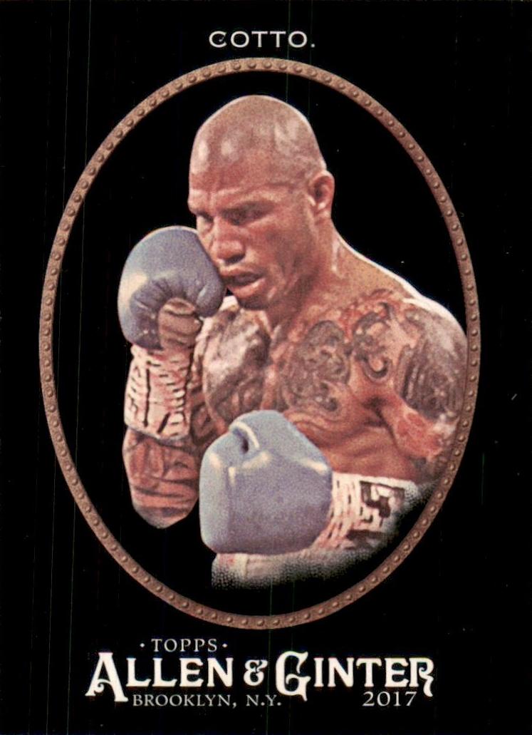 2017 Miguel Cotto #284