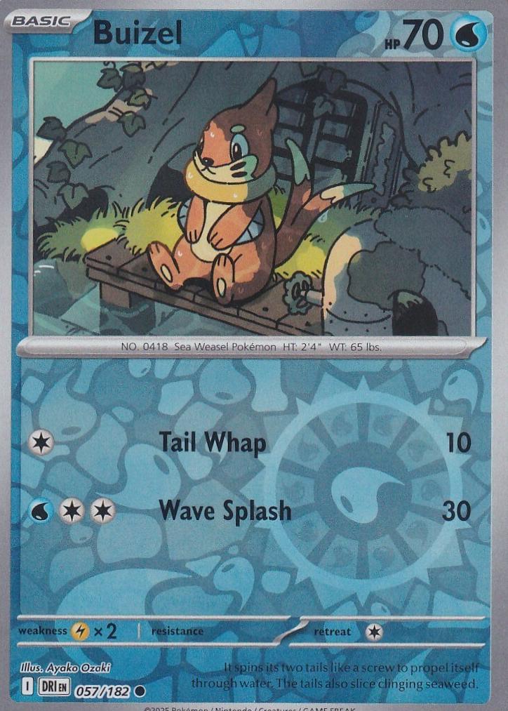 Buizel 2025 Pokemon Scarlet & Violet Destined Rivals