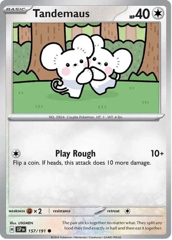 Tandemaus 2024 Pokemon Scarlet & Violet Surging Sparks