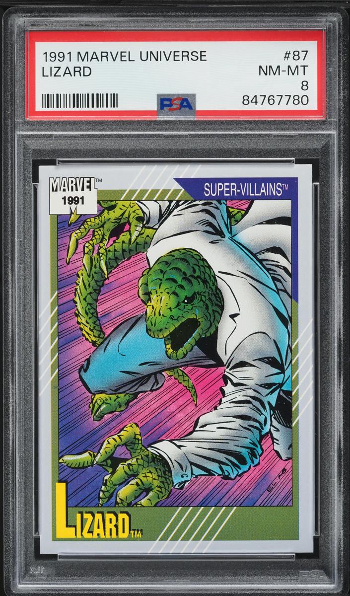 1991 Lizard #87