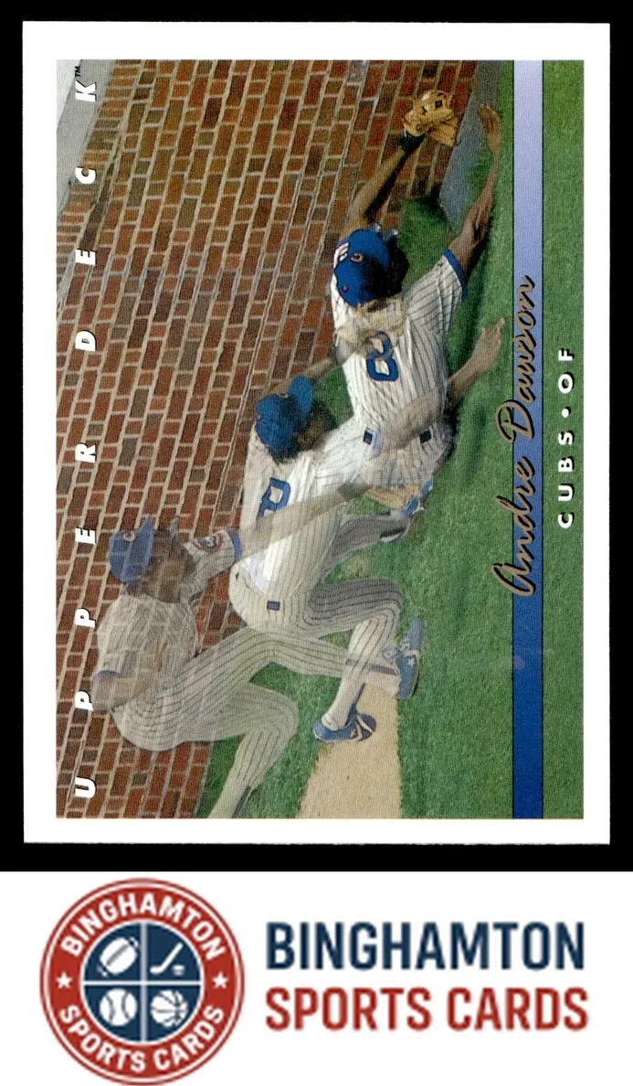 1993 Andre Dawson #308