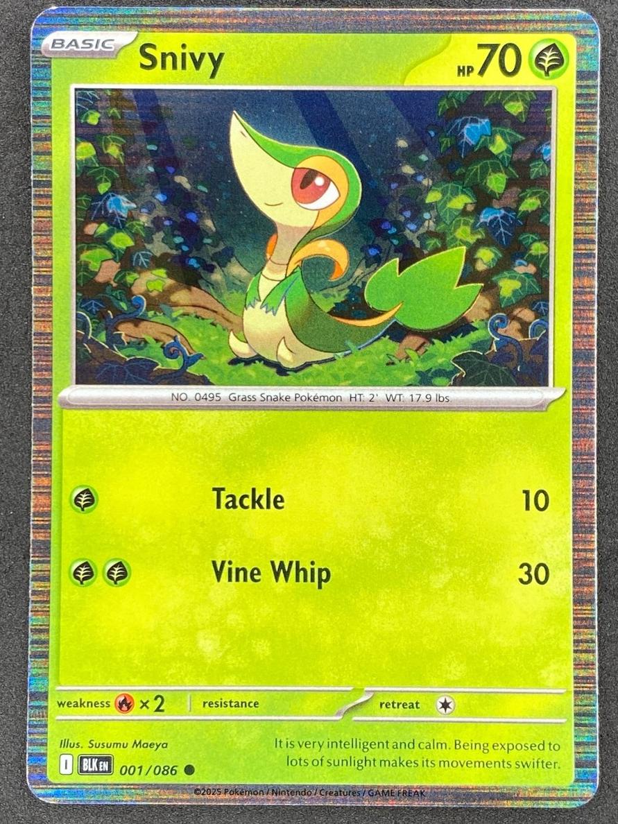 Snivy 2025 Pokemon Scarlet & Violet Black Bolt