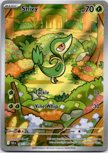 Snivy 2025 Pokemon Scarlet & Violet Black Bolt