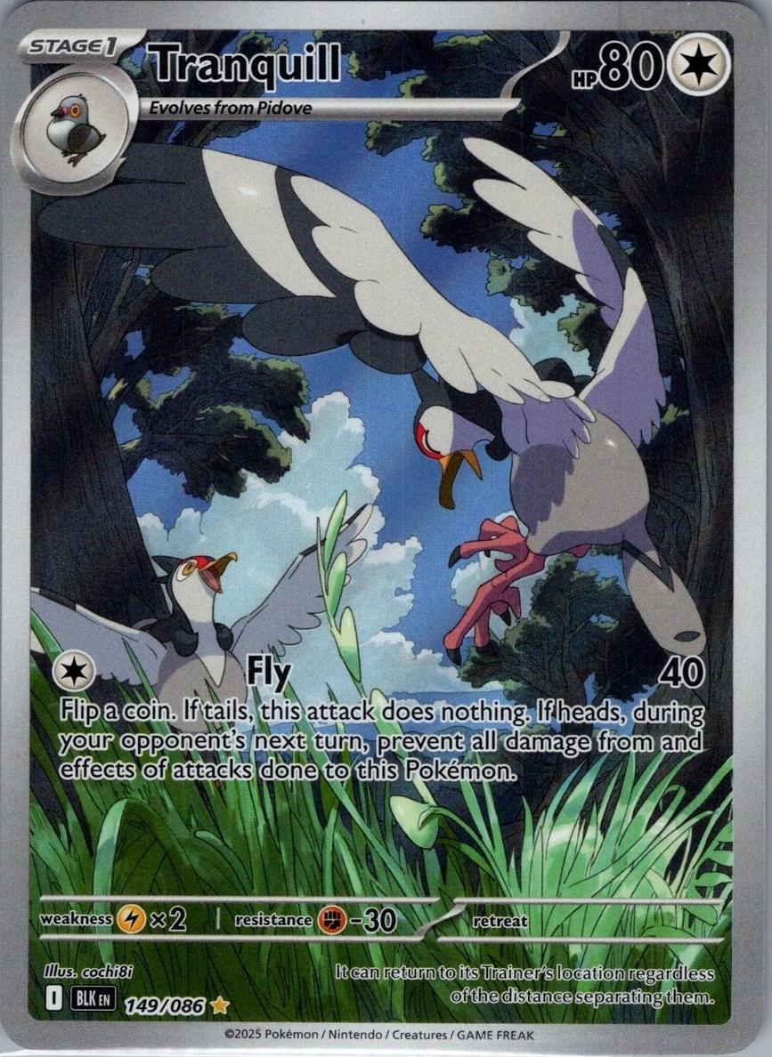Tranquill 2025 Pokemon Scarlet & Violet Black Bolt