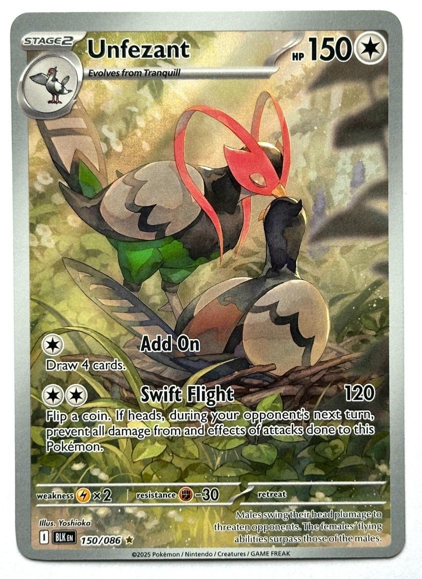 Unfezant 2025 Pokemon Scarlet & Violet Black Bolt