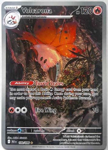 Volcarona 2025 Pokemon Scarlet & Violet Black Bolt