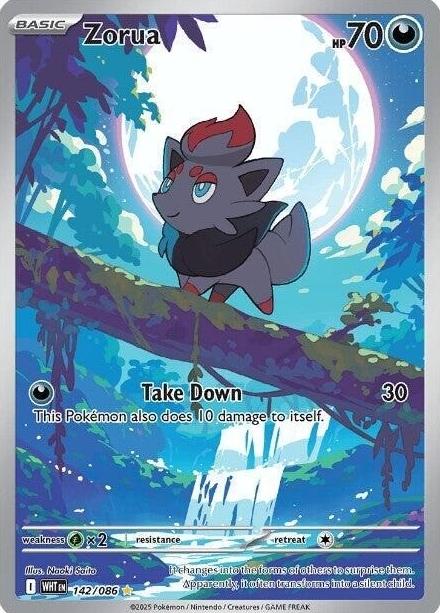 Zorua 2025 Pokemon Scarlet & Violet White Flare