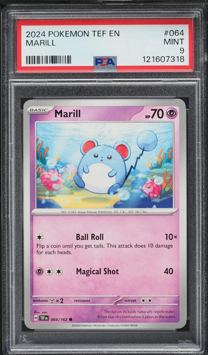 Marill 2024 Pokemon Scarlet & Violet Temporal Forces