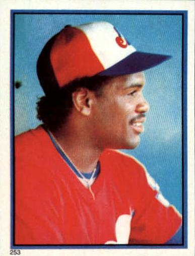1983 Tim Raines #253