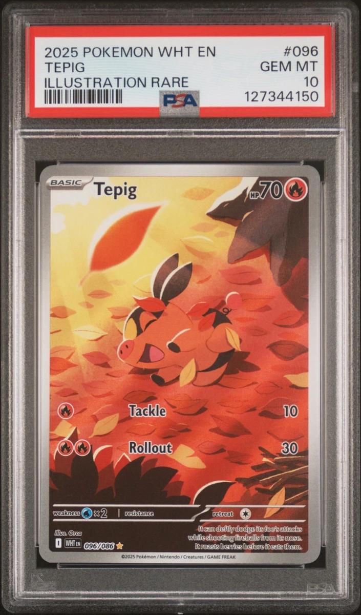 Tepig 2025 Pokemon Scarlet & Violet White Flare