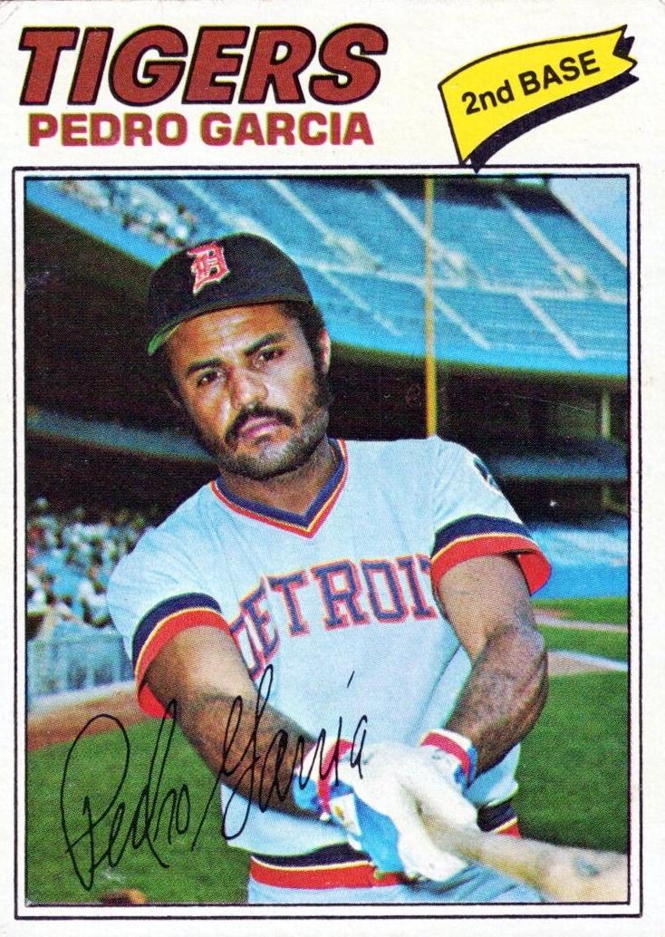 1977 Pedro Garcia #453