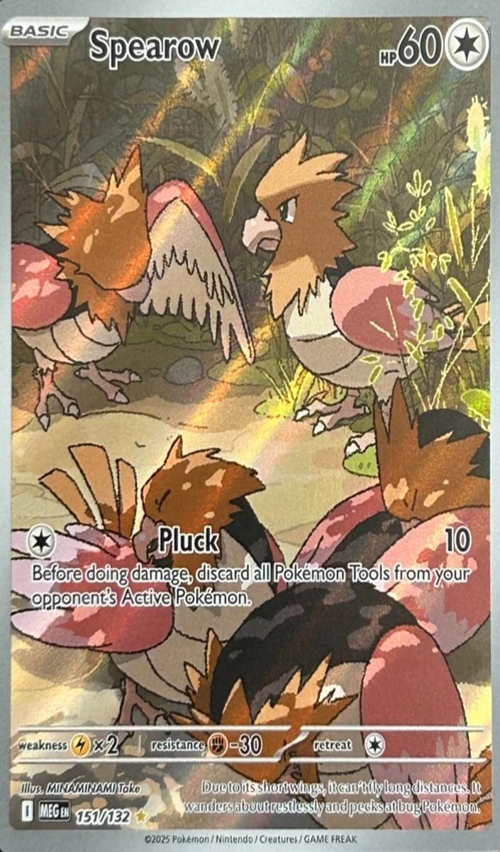 Spearow 2025 Pokemon Mega Evolution