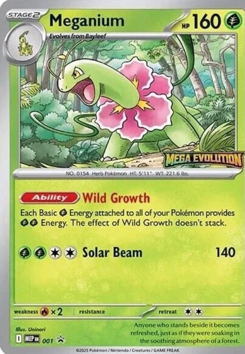 Meganium 2025 Pokemon Mega Evolution Promo