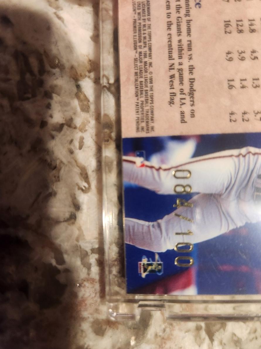 Barry Bonds
