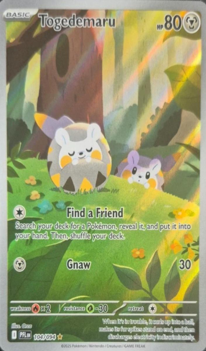 Togedemaru 2025 Pokemon Mega Evolution Phantasmal Flames