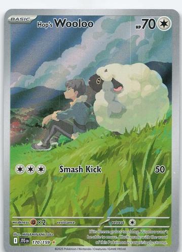 Hop's Wooloo 2025 Pokemon Scarlet & Violet Journey Together