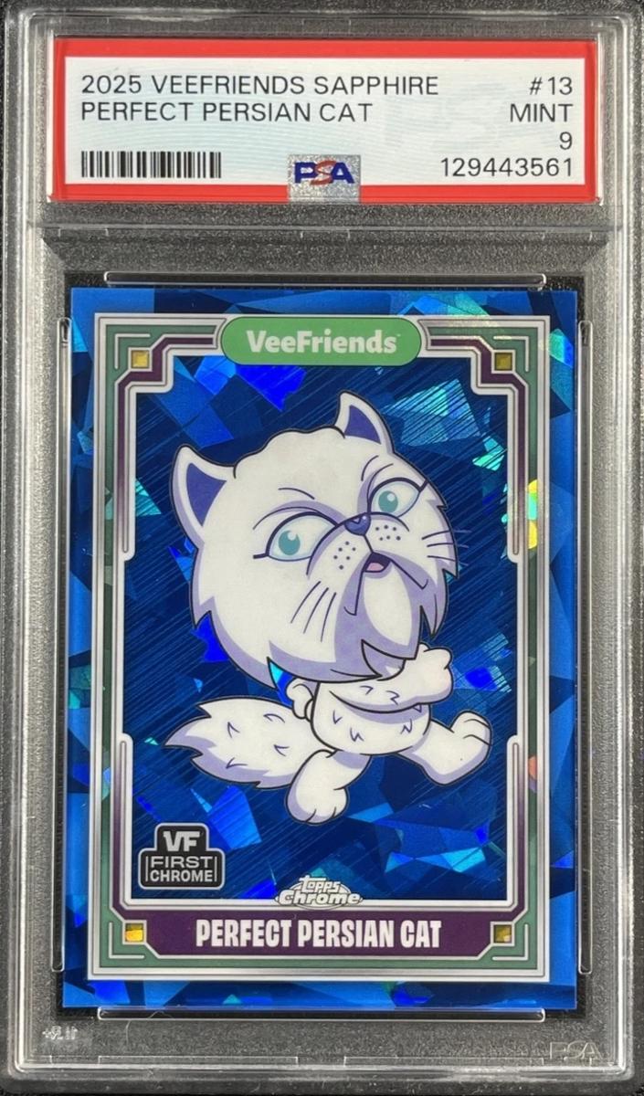 2025 Perfect Persian Cat [Sapphire] #13