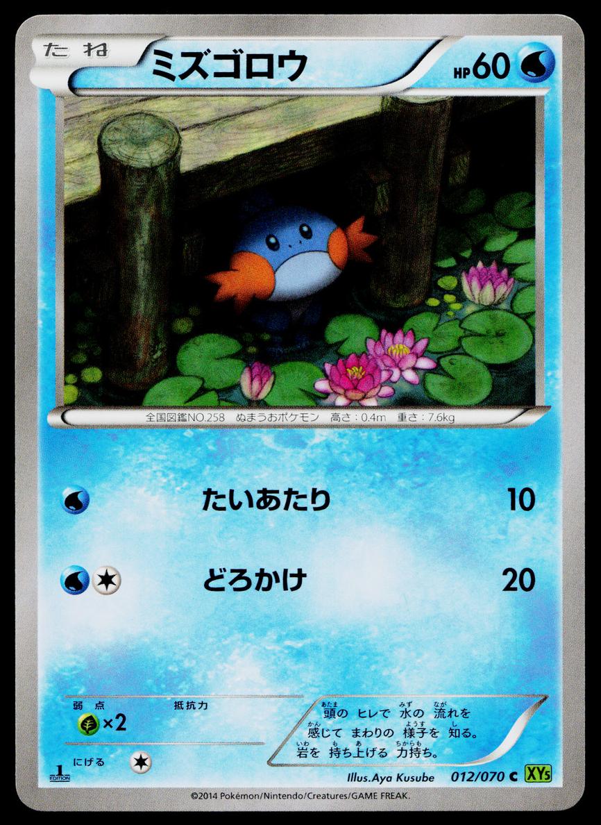 2014 Pokemon Japanese Xy Tidal Storm 1st Edition #012 Mudkip front