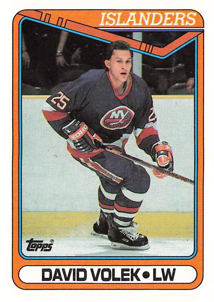 1990 David Volek #300